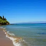 Camvillia Messinia