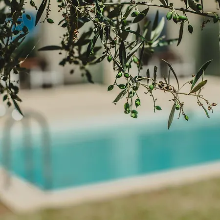 Camvillia Messinia Hotell 5*