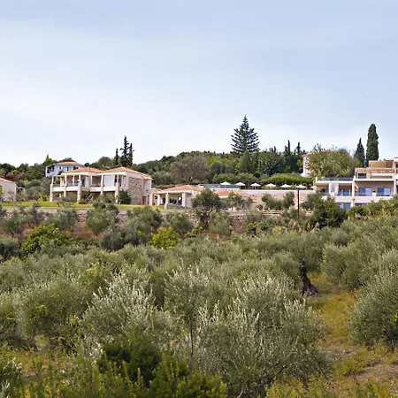 Camvillia Messinia Vounária