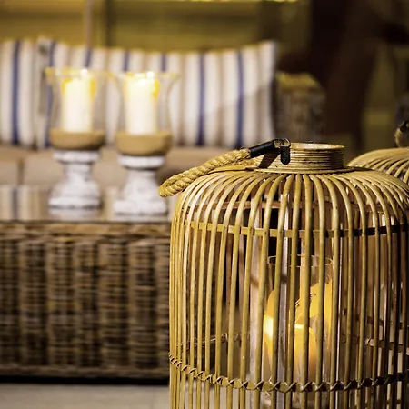 Camvillia Messinia 弗纳瑞亚