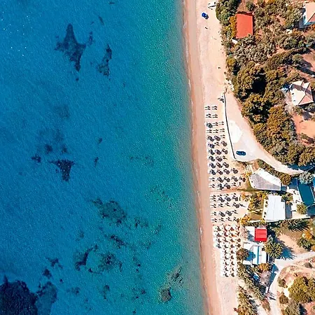 Camvillia Messinia Vounária