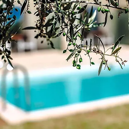 Camvillia Messinia Hotel 5*