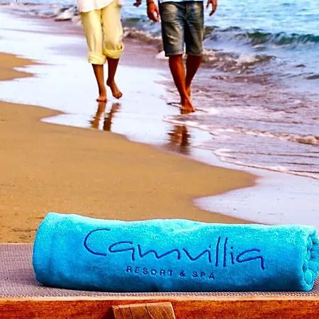 Camvillia Messinia Vounária