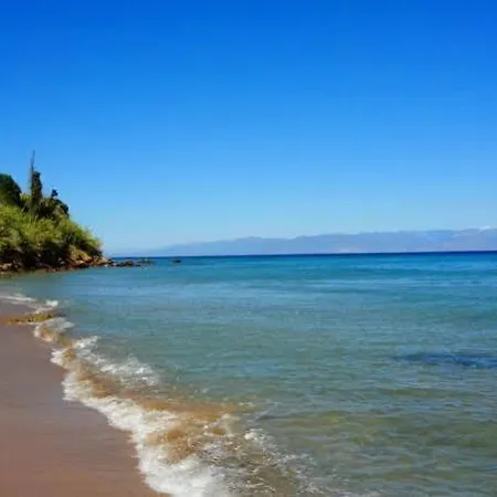 Camvillia Messinia
