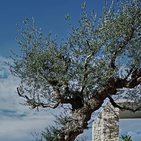 酒店 Camvillia Messinia