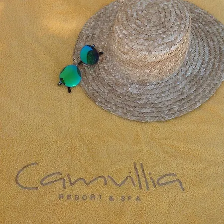 Camvillia Messinia Vounária