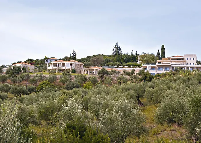 Camvillia Messinia 보우네리아