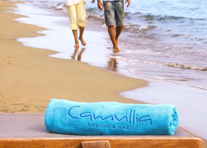 Camvillia Messinia 보우네리아